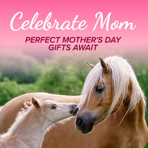 Celebrate Mom: Perfect Mother's Day Gifts Await